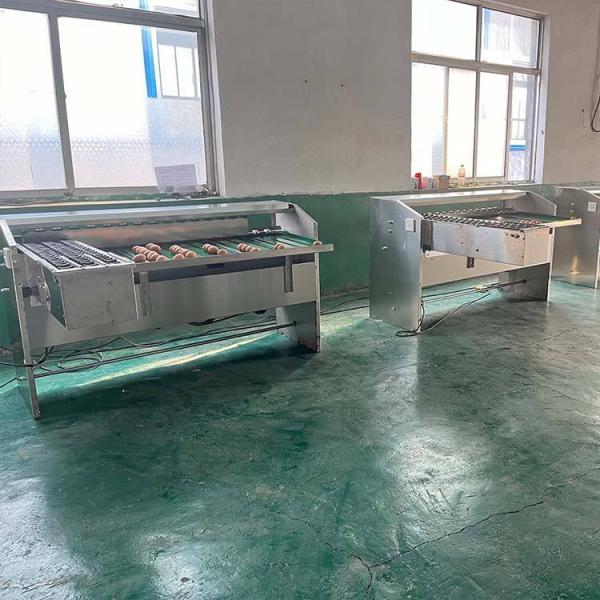 Automatic Egg Sort Grade Weighing And Sorting Egg Machine Egg Grading Process Line Scale Grader Mini Sorter Egg Machine Commercial Egg Sorting Machine