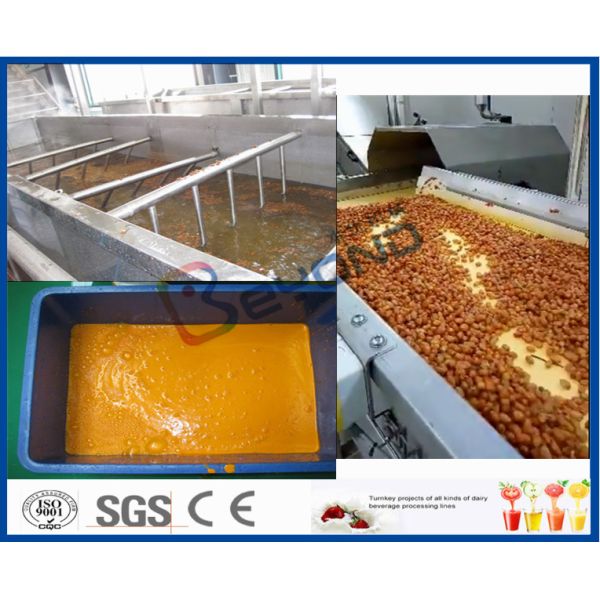 Fruit Processing Plant Juice Making Machine Orange Juice Extractor With Washing / Pulping System