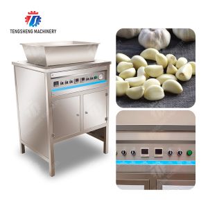 Quality 2.2KW Garlic Peeling Machine Industrial Factory Food Processor wholesale