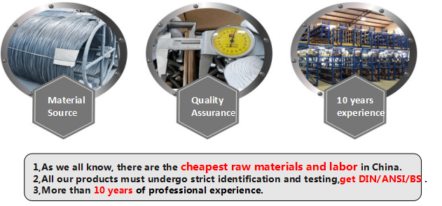 Grade 4.8/8.8/10.9 DIN Standard Hex Head Flange Bolts and Nuts in Black Finish