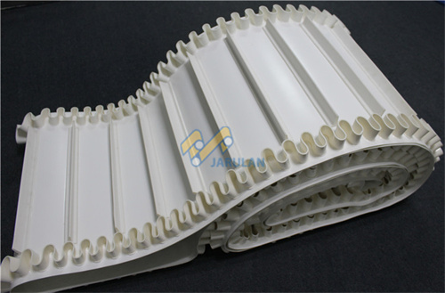 side wall of conveyo belt