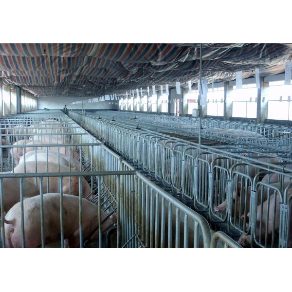 1000Cows Livestock Farming Equipment Farm Machinery Galvanized