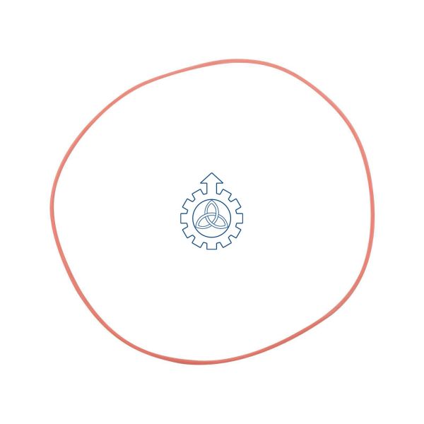 O-ring 42118229