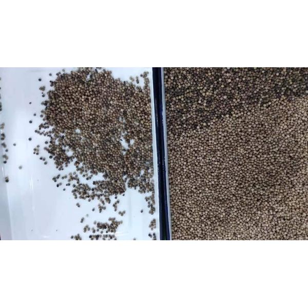 32 Channels Seed Color Sorter , Chili Rosehip Sorting Machine Low Consumption