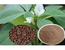 Quality Natural chemical Fenugreek seed Extract natural extract from China market wholesale