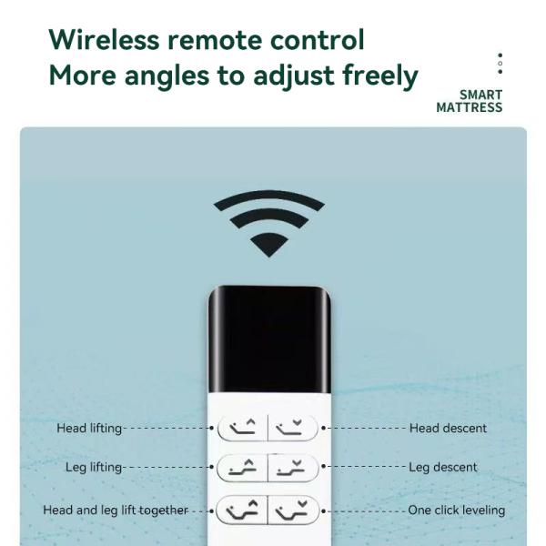 MIENSI M100 Queen Size Bed Smart Mattress Adjustable Firmness Mattress With Dual Motor Drive