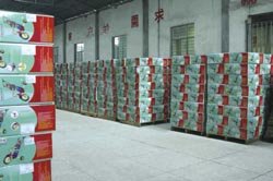 19KGS Gloss Weight 20" Low Rider Bicycle with Steel Fork