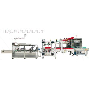Quality Conveying Fully Automatic Carton Packing Machine Boxing Forming Filling wholesale