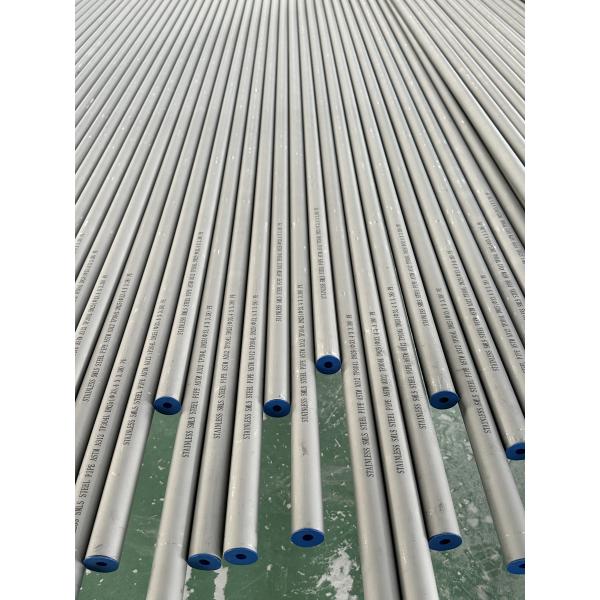 EN 6mm ASTM A790 UNS S31803 304 Seamless Stainless Steel Tubing 316L Seamless