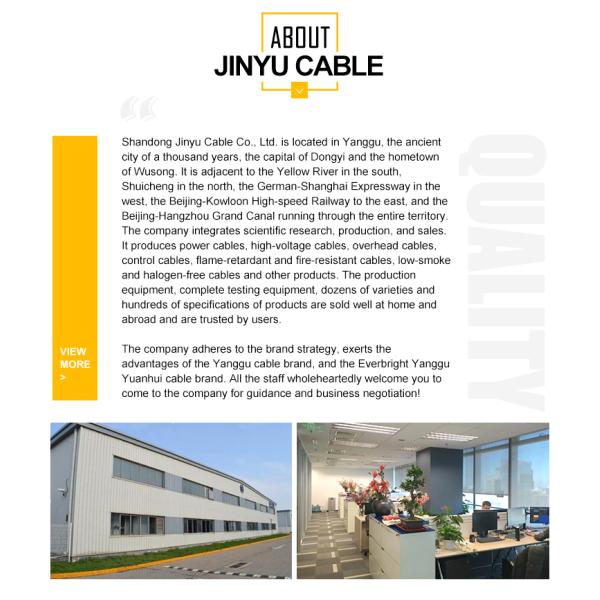 Construction Single Core Copper Wire BV 10mm XLPE Cable For Underground