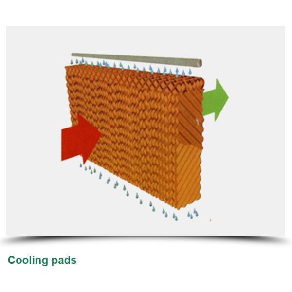 Glass for Outdoors Greenhouses Large Size and Hydroponic Nursery Sponge Advantage