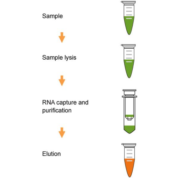 Isolation Nucleic Acid Extraction Kit Silica Based Spin Column