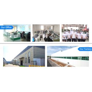 Beijing Hongtianyang Trade Co., Ltd.