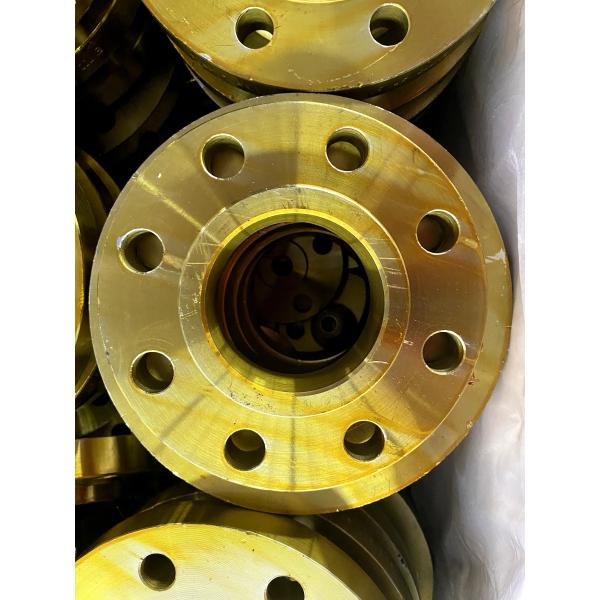 Carbon Forged Steel Flanges Threaded Customized DIN EN 1092 Flanges