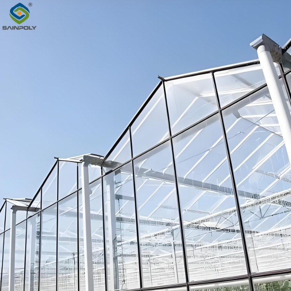 Strong Structure Galvanized Venlo Type Greenhouse Commerical Green House