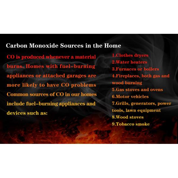 Continuous Portable Carbon Monoxide Alarm Detector With Alarm Logger 1000ppm