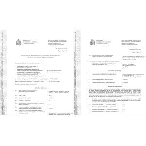 Chongqing Forward Auto Tech Co.,Ltd.