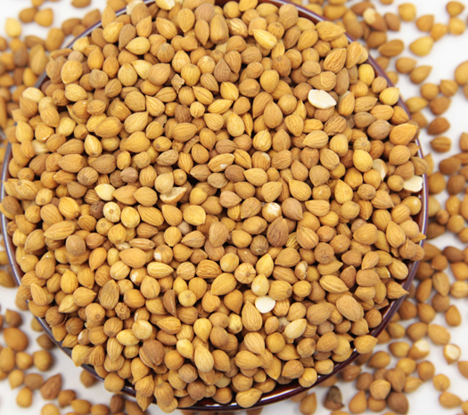 Amygdalus pedunculatus pall Oil with 96~98% unsaturated fatty acid