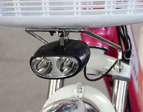 Small 6061 Aluminum Alloy 200w 24 Inch Wheel Electric Bike