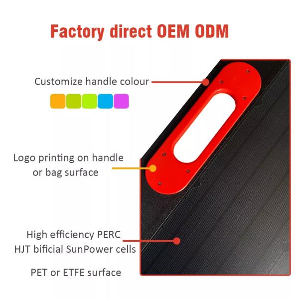 Portable 100w 80w 60W Foldable Solar Panel Waterproof Customized For RV Camping