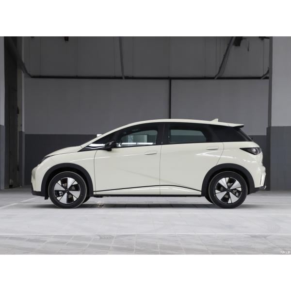 2023 BYD Dolphin Electric Car 420km Free Version Bluetooth Connectivity