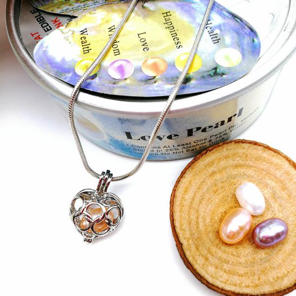 Fashion Wish Pearl Pendant Necklace Natural Oyster Gift Love Heart Cage Holder Chokers Necklace For Women Jewelry