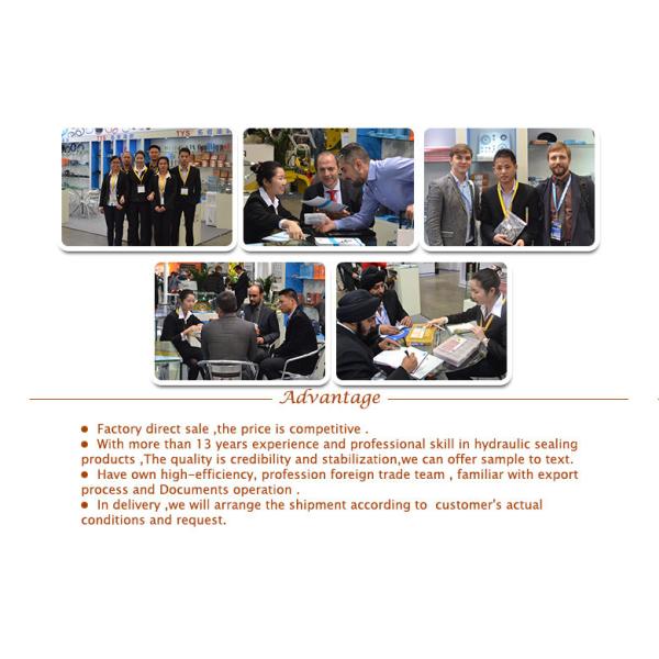 NBR oil seal excavator parts excavator Boom Arm Bucket cylinder seal kit parts hydraulic seal