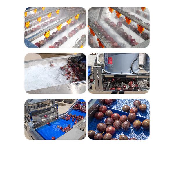 Kiwi Carrot Taro Vegetable Brush Bubble Cleaning Machine 2.5KW