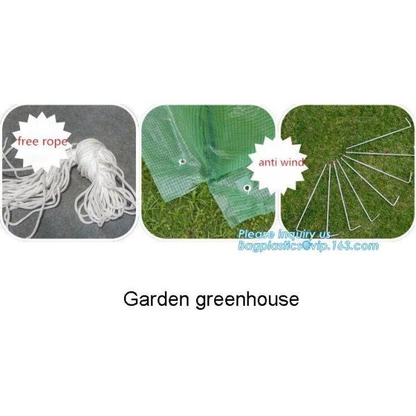 PE protective film customized green house for agriculture anti frost,Venlo Glass Agricultural Green house, SUPPLIES, PAC