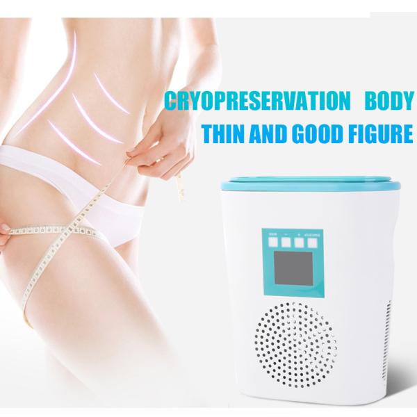 Home Use Mini Cryo Fat Freezing Weight Loss Equipment