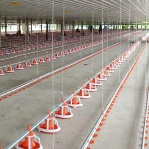 Quality Poultry Farm Auto 380V Chicken House Equipment wholesale