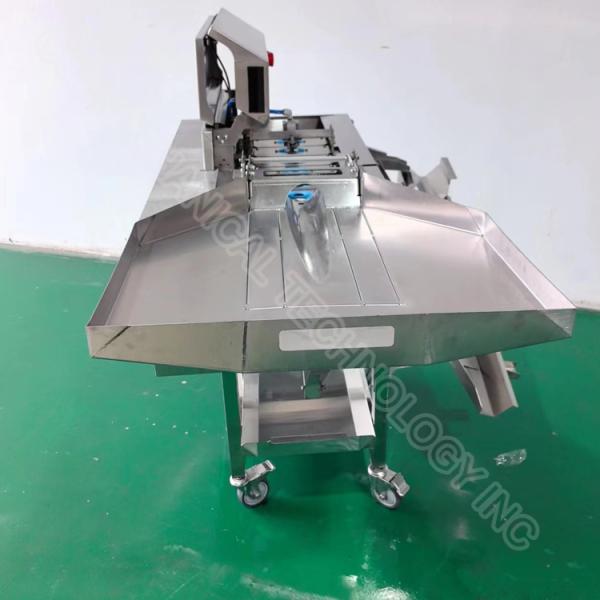 Automatic Egg Processing Machine Breaker & Yolk Separator 220V 304 Stainless Steel