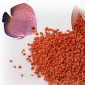 Dsp 70 Fish Feed Extruder Floating Fish Meal Feed Dryer Pellet Drying Machine