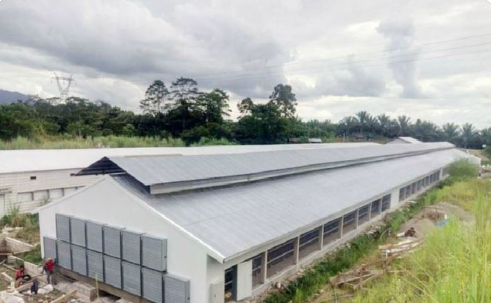 Multifunctional Steel Frame Chicken Coop Lightweight Steel Frame Building Mould Proof