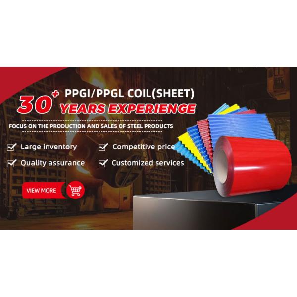 RAL Color Color Coated Coils Prepainted Galvanized Zinc Coated Steel Coil