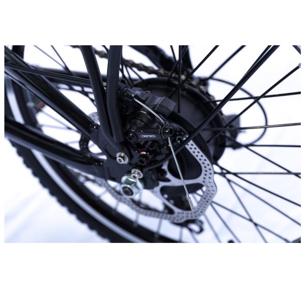 45km/H 36v 48v 350w 20 Inch Fat Tire Electric Bike