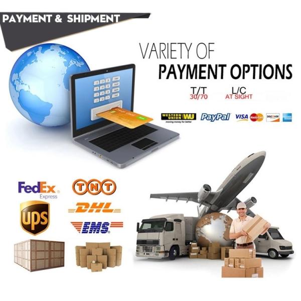 BEBU4B00100 01905002 Engine Injectors BEBJ1A05001 1846419 BEBJ1B00001