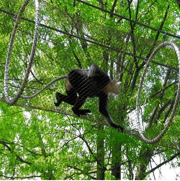 Pliable / Flexible Bird Netting Fence Custom Bird Garden Net Wire Mesh