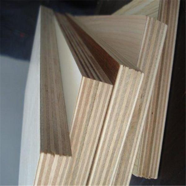 China commercial plywood funiture material, Bintangor/okoume/keruing/poplar/birch commercial plywood