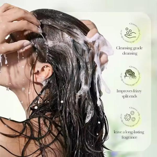 GMPC Private Label Clarifying Shampoo ODM Oil Control Anti Dandruff Anti Itchin