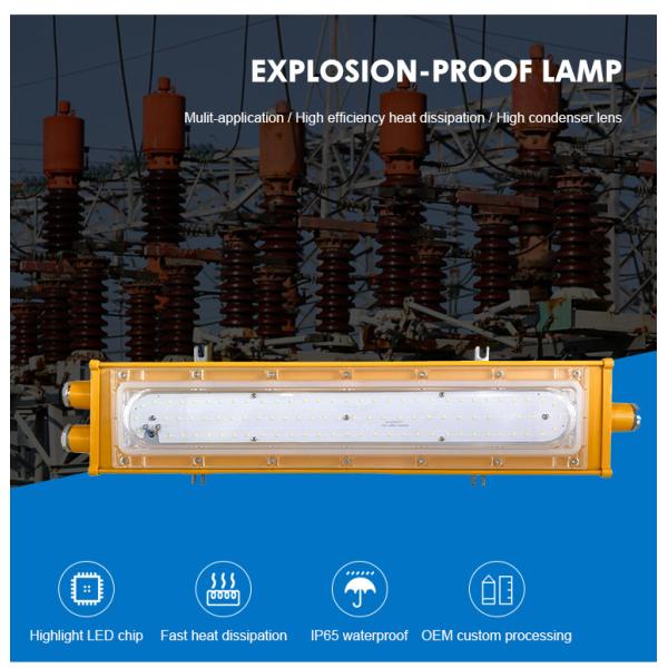 Ip65 Chemical Industry Gas Station Explosion-Proof Lamps 50w 100w 200w Led Explosion Proof Light