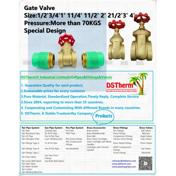 3 Inch Flexible Brass Gate Valve With Plastic Ppr Part PN25