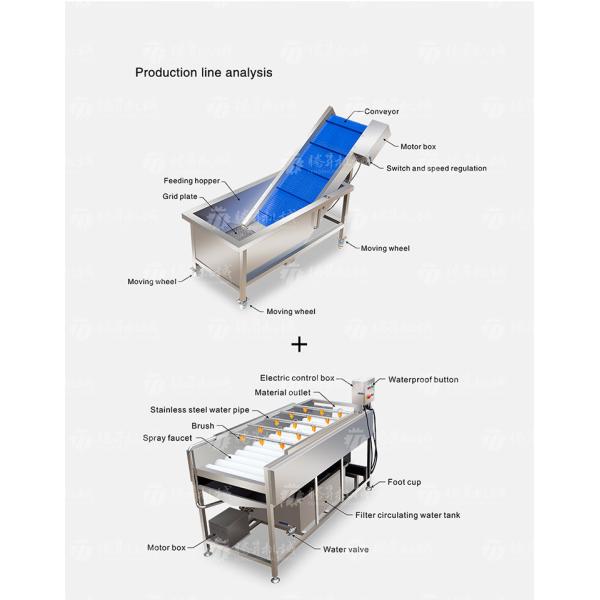 Kiwi Carrot Taro Vegetable Brush Bubble Cleaning Machine 2.5KW