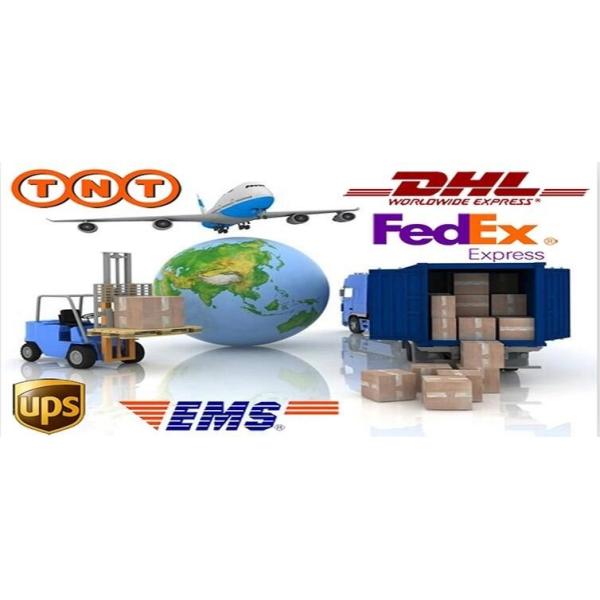 Auto Parts Man Trucks Diesel Fuel Pump Repair Kit 800636