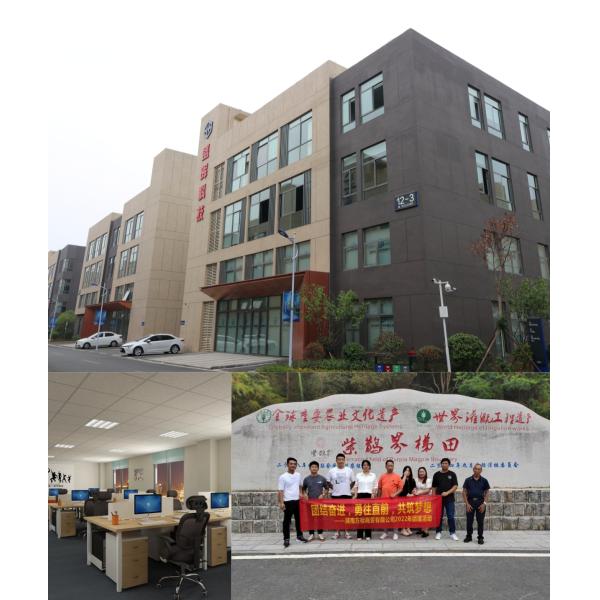 90 Degree Chrome Plated Angle Valve 1/2 inch Seat Ball Valve For Bathroom Toilet