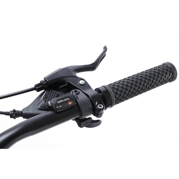 9 10 12 Speed Bicycle Custom Bicicleta OEM Bisiklet XC Mountainbike for Man Alloy Cycle MTB Bike 29 Inch Mountain Bike