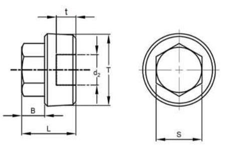 Flange Magnetic Drain Plug Hex 3/4" Thread Stainless Steel Plug