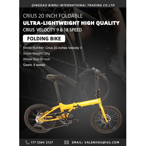 Front And Rear Wheel V Brake 20 Inch Mini Folding Bicycle With SMN 3500 Rear Derailleur