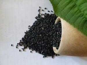 Quality Natural Black Sesame Seed Extract Powder 4:1 wholesale