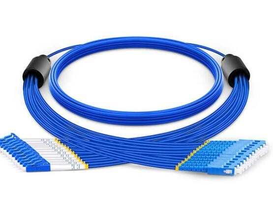 Armored Fiber Optic Patch Cable 6 Core OS2 E2000 To E2000 Single Mode High Density